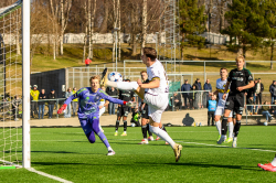 Rosenborg - AIK.  2-0