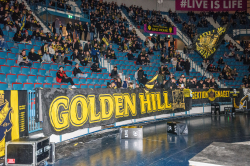 Publikbilder. AIK-Björklöven