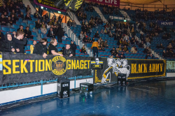 Publikbilder. AIK-Björklöven
