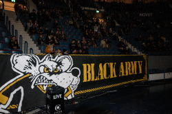 Publikbilder. AIK-Björklöven
