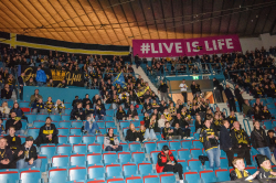 Publikbilder. AIK-Björklöven