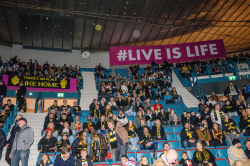 Publikbilder. AIK-Björklöven