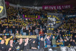 Publikbilder. AIK-Björklöven