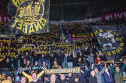 Publikbilder. AIK-Björklöven