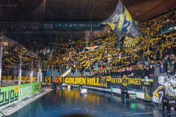 Publikbilder. AIK-Björklöven