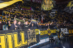 Publikbilder. AIK-Björklöven