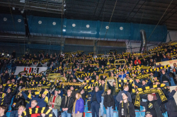 Publikbilder. AIK-Björklöven