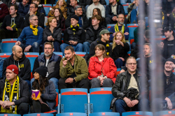 Publikbilder. AIK-Björklöven