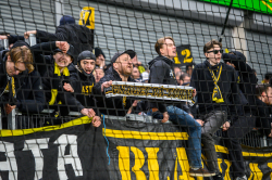 Publikbilder. Gais-AIK