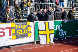 Publikbilder. Värnamo-AIK