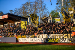Publikbilder. Värnamo-AIK