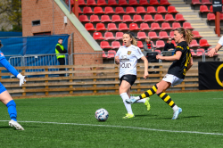 AIK - BP.  2-0 