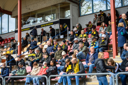 Publikbilder. AIK-BP