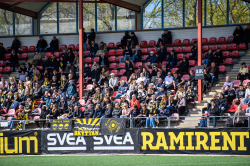 Publikbilder. AIK-BP
