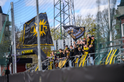 Publikbilder. AIK-BP