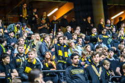 Publikbilder. AIK-Elfsborg