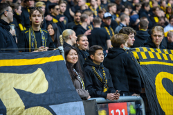 Publikbilder. AIK-Elfsborg