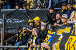Publikbilder. AIK-Elfsborg