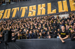 Publikbilder. Dif-AIK