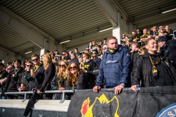 Publikbilder. Häcken-AIK