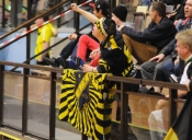 AIK - Helsingborg.  8-5