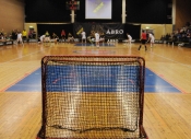 AIK - Helsingborg.  8-5