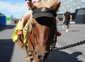 AIK-Elfsborg (Förmingel)