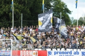 Publikbilder från Halmstad-AIK