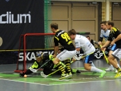 AIK - Warberg.  17-3