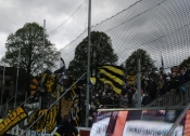 Publikbilder från Halmstad-AIK 