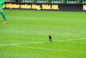 AIK - Falkenberg.  3-0