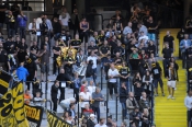 publikbilder från AIK-dif