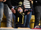 Publikbilder från Elfsborg-AIK