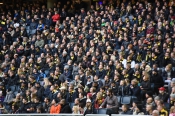 Publikbilder från AIK-Halmstad