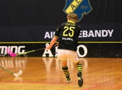 AIK - Pixbo.  5-8