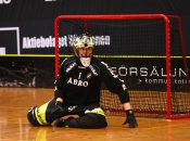 AIK - Pixbo.  5-8