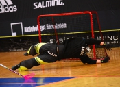 AIK - Pixbo.  5-8