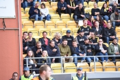 Publikbilder från Elfsborg-AIK