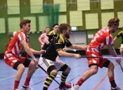 AIK - Pixbo.  5-6