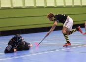 AIK - Pixbo.  5-6