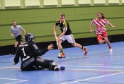 AIK - Pixbo.  5-6