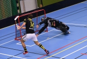 AIK - Pixbo.  5-6