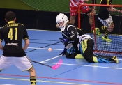 AIK - Pixbo.  5-6