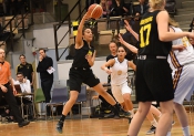 AIK - RIG MARK.  86-43