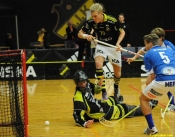 AIK - Mullsjö  11-7