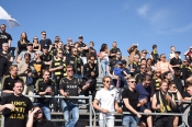 Publikbilder från Halmstad-AIK