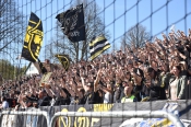 Publikbilder från Halmstad-AIK