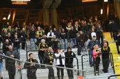 Publikbilder från AIK-Elfsborg