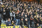 Publikbilder från AIK-Elfsborg