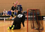 AIK - Sirius.  13-8